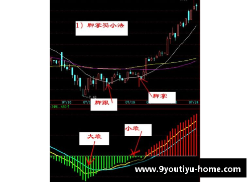 九游体育官方网站福建浔兴股份成功在A股上市，首日股价大涨